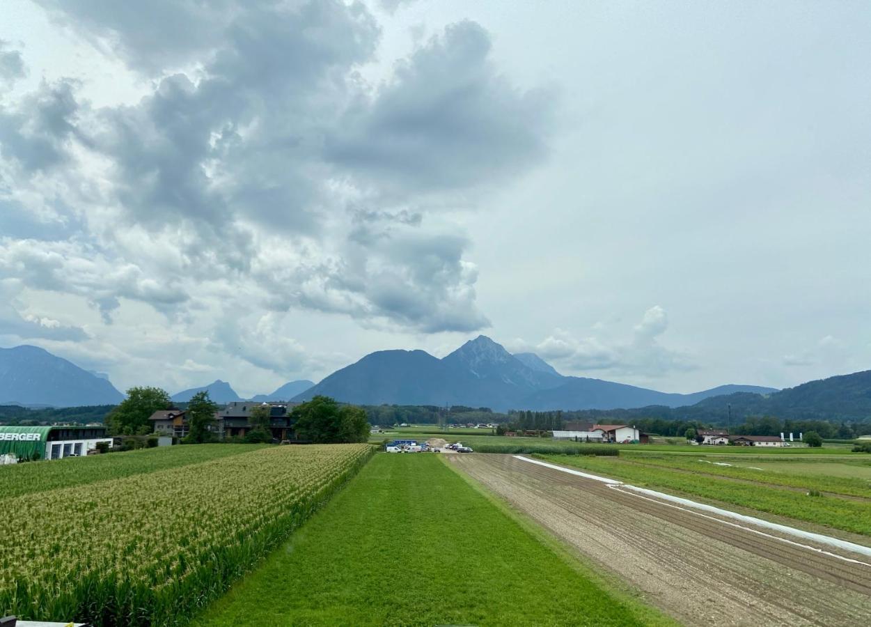 Appartement Wohnen Mit Bergausblick à Wals-Siezenheim Extérieur photo